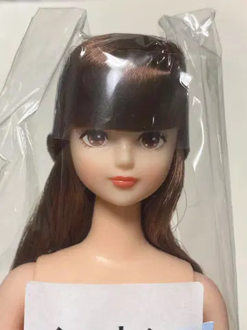 시온 제니 프렌드 27BD 오타노시미 인형 리카짱 캐슬