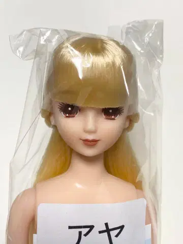 아야 제니 프렌드 27BD 즐거운 인형 리카짱 캐슬