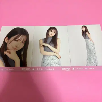 노기자카46 스가와라 사츠키 브로마이드 슬리브리스 니트 컴프
