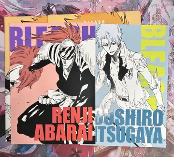 BLEACH 아트 카드 컬렉션 아바라이 렌지 히즈카야 토시로