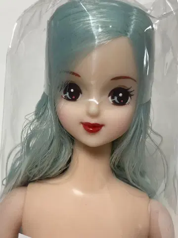 사유리 빨간 립 제니 프렌드 오타노시미 인형 리카짱 캐슬