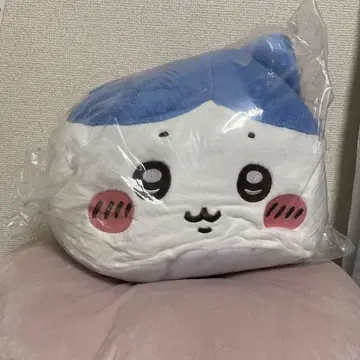 치이카와 프리미엄 돔 쿠션 (하치와레)