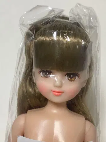 팔레트 F 22cm 리카짱 프렌드 오타노시미 인형 리카짱 캐슬