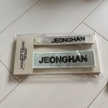 SEVENTEEN 정한 와펜
