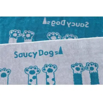 Saucy Dog 굿즈