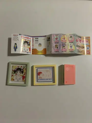마멀레이드 보이 리본 콩도서 & 쓰리 코이즈 랜덤 마그넷 세트