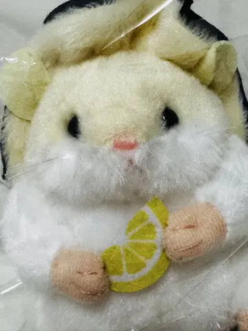 지역 특산 햄스터 굴 봉제 인형