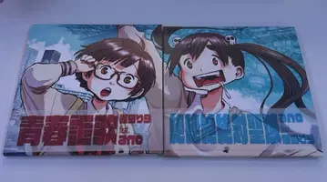 절절절절대성역 청춘찬가 데데데데 주제가 CD 2장 세트