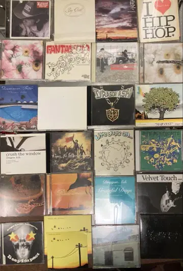 드래곤 애쉬 드래곤 아쉬 Steady&Co CD 모음 25장