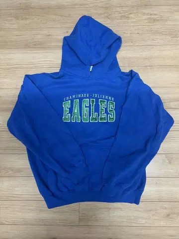 GILDAN EAGLES 후드티 L 사이즈 가격 인하 가능