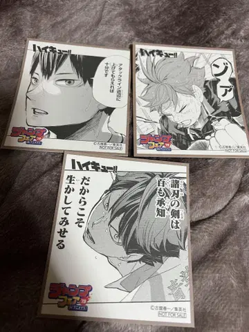 하이큐!! 점프 페어 2019 특전 3장 세트