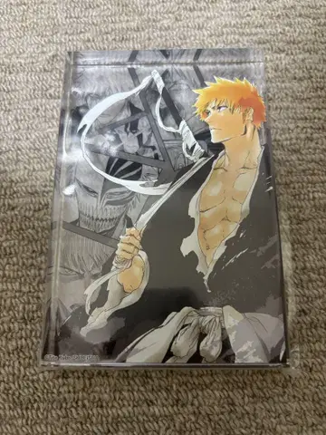 BLEACH 아크릴 블록 쿠로사키 이치고