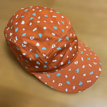 마운틴 하드웨어 캡 모자