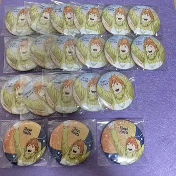 하이큐 히나타 쇼요 날씨 일러스트 캔뱃지 세트