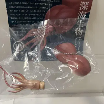 네이처 테크니컬러 심해 생물 대왕 앵무 오징어