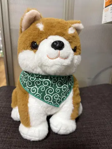 시바견 코타 음성 재생 기능 포함