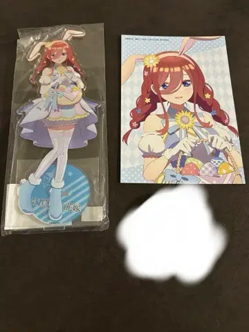 [ 나카노 미쿠 ] 부활절 굿즈 세트