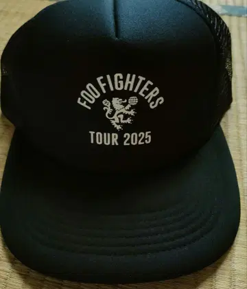Foo Fighters 캡