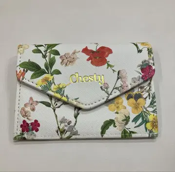 [ 새상품 레어 새 지저귐 ] chesty 차스티 카드 케이스 동전 지갑