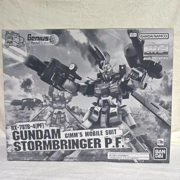 MG 1/100 건담 스톰브링거 P.F.