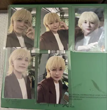 seventeen 소비기한 정한 트레이딩 카드
