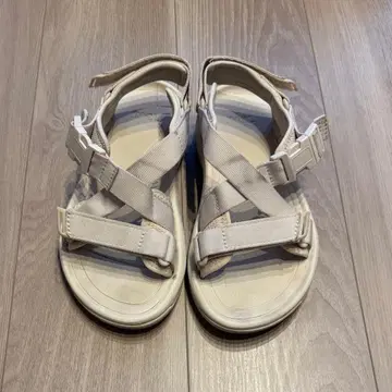 테바 허리케인 버지 24cm 화이트