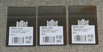 HAYATO/JUNON 온라인 복권 G상 A 3세트 주논 하야토