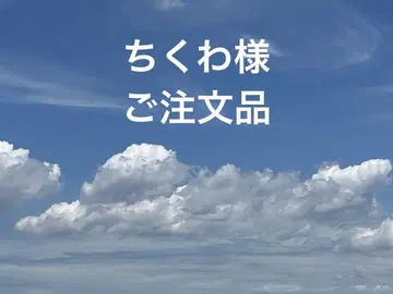 나비 날개 모양 터콰이즈와 슬리핑 뷰티 펜던트