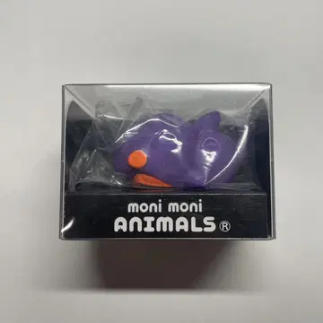 모니마루즈 비비드 컬러 범고래 moni moni ANIMALS