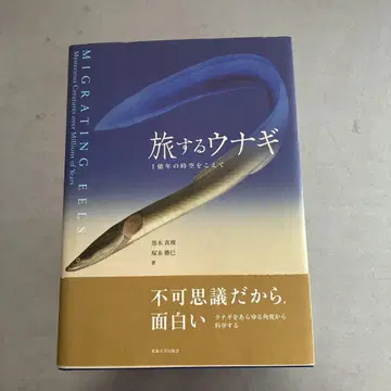 여행하는 장어 1억 년의 수수께끼를 파헤치다