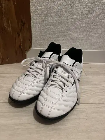 Mizuno 축구화