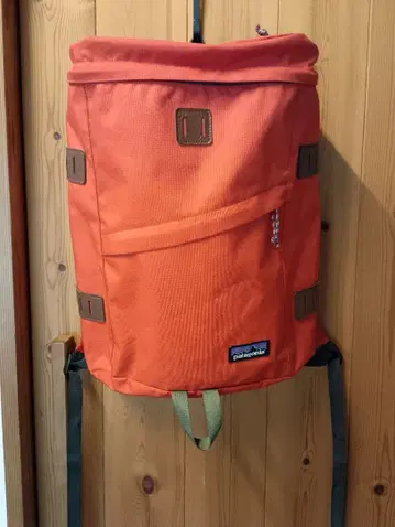 patagonia 파타고니아 데이팩 오렌지