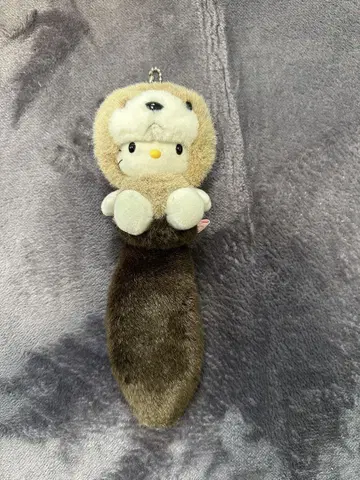 지역 한정 키티 오코조