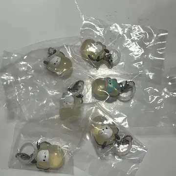 파피단브이 오이스터메지루시액세서리