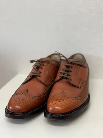 리걸 REGAL 25.5 임페리얼 그레이드 윙팁 메달리온