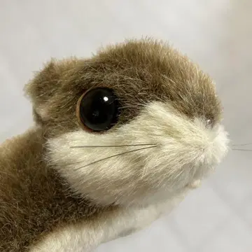 모몽가 봉제 인형 AQUA사제
