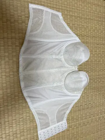 브라이덜 드레스용 이너