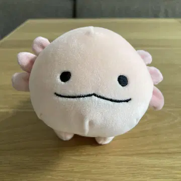 모후모후 프렌즈 우파루파