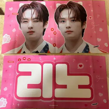 straykids 리노 슬로건