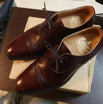 스코치 그레인 다크 브라운 24.5cm E