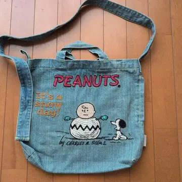 PEANUTS 찰리 브라운 숄더백