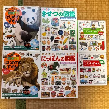 DVD 포함 첫 도감 일본 도감 계절 도감 유아용 도감 6권 세트