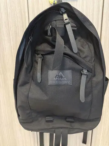 GREGORY 데이팩 더블 사이드 포켓