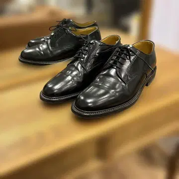 REGAL 리갈 비즈니스 슈즈 25cm 가죽 신발