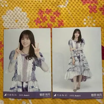 노기자카46 스가와라 사츠키 브로마이드 13th 의상