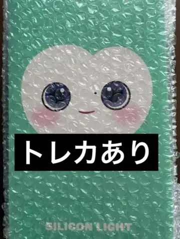 실리콘 라이트