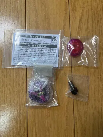 컬러 초이스 란바스터 바이올렛