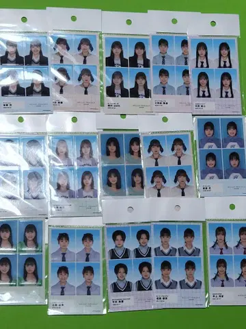 [ 레어 ] 하로프로 증명사진풍 스티커