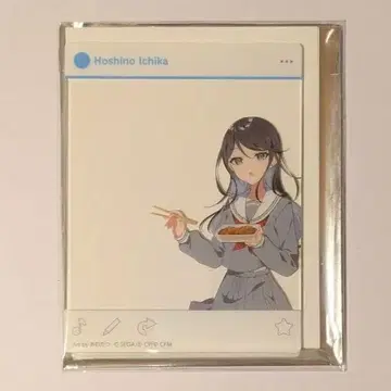 프로세카 호시노 이치카 아크릴 카드 카미고 문화제