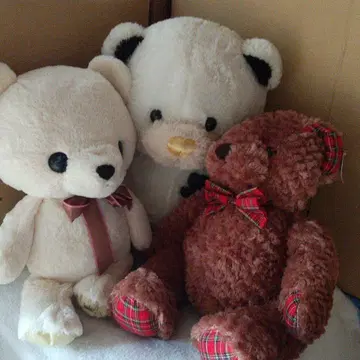 곰 모양 봉제 인형 3개 세트